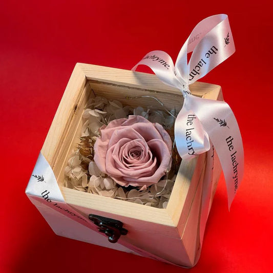 Fleur in Dusty Pink | Boxed Blooms | Small