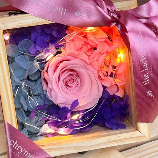 Mermaid in Pink | Boxed Blooms | Small