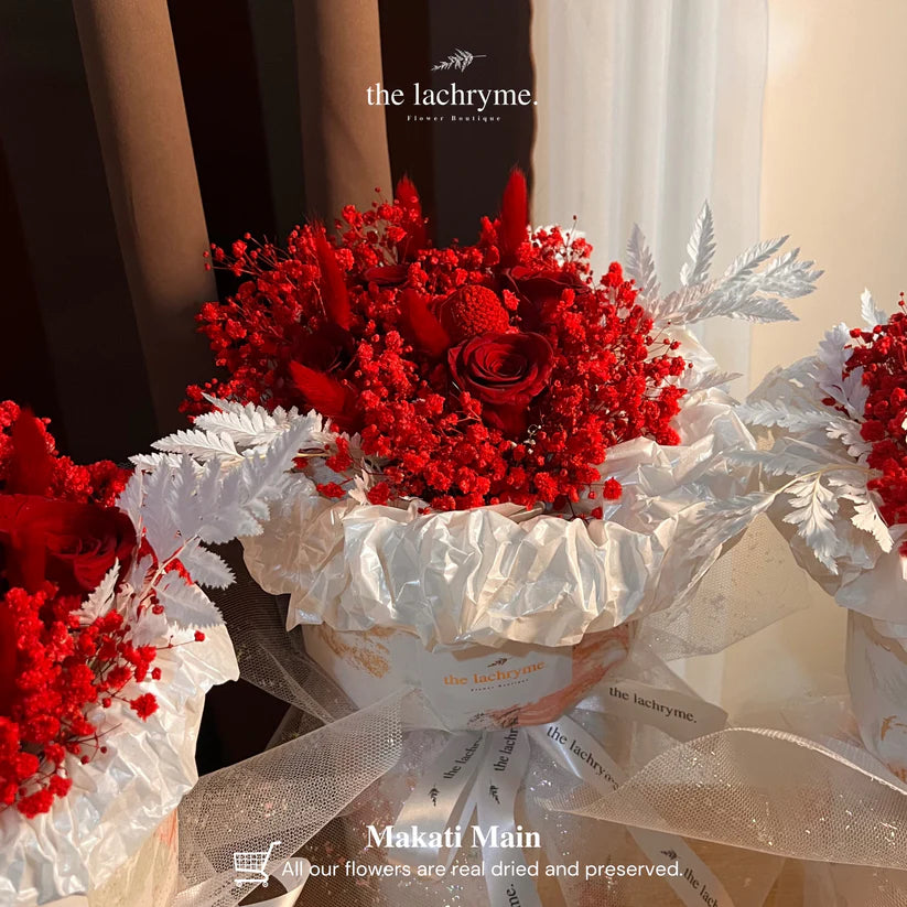 Stella | Preserved Blooms | Round Blooms in Grand